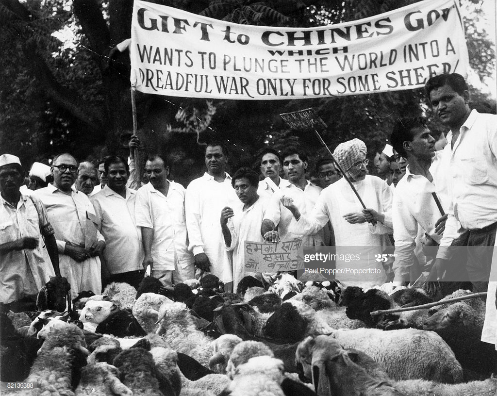 When Sheep insulted China