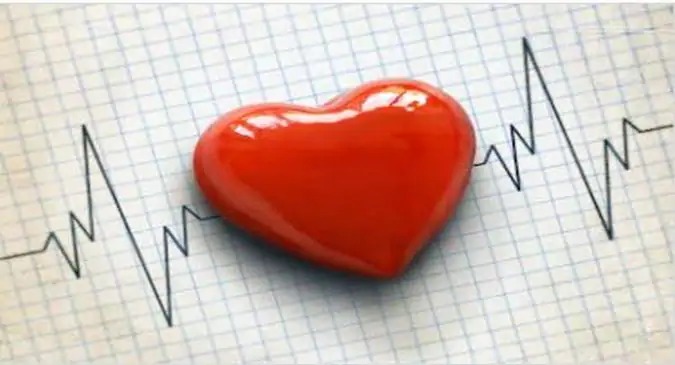World Heart Day : Effort to beat Heart Diseases