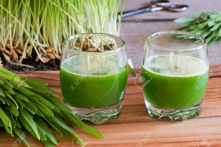 Can Barley Grass Juice increase our Immunity levels?