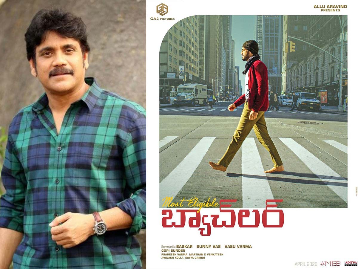 Nagarjuna not happy with Most Eligible Bachelor