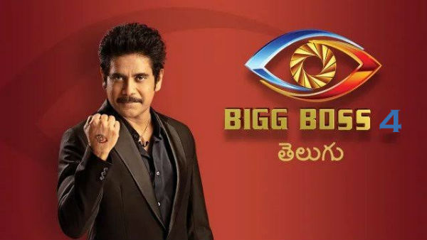 Exclusive – Not a single offer for Bigg Boss 4 eliminated contestants