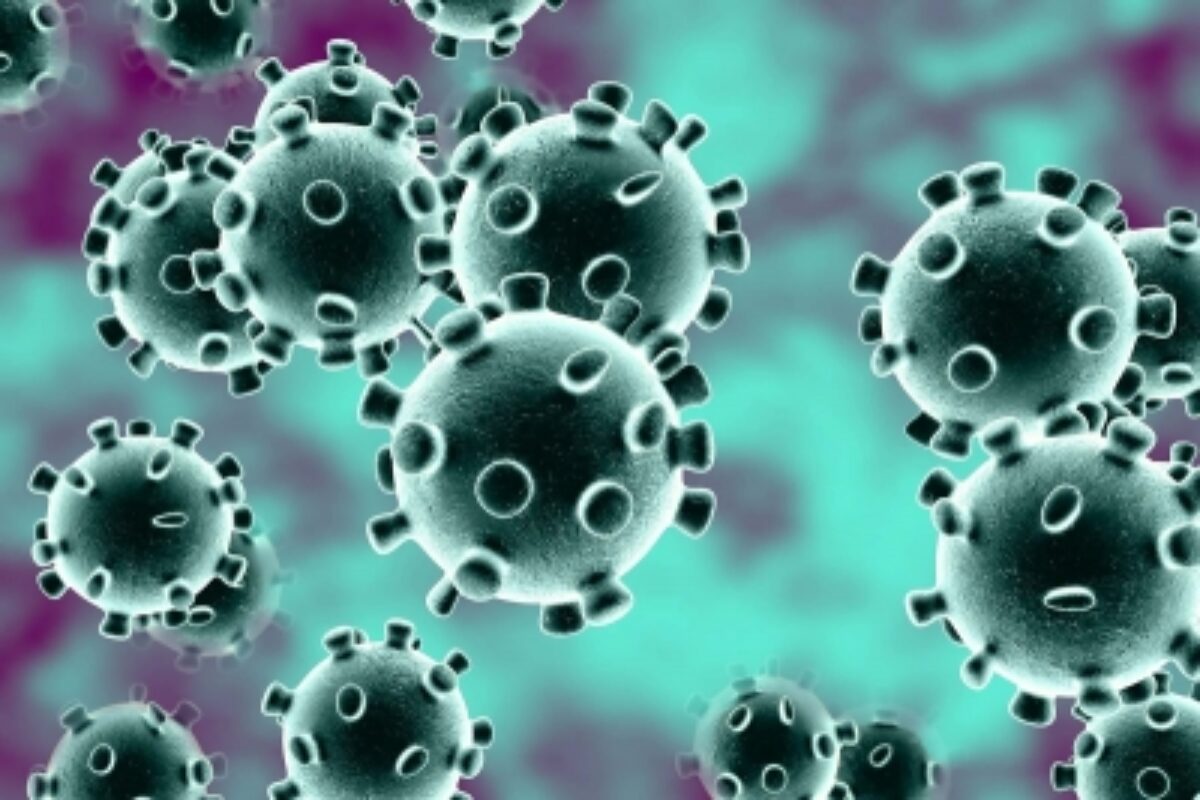 New Covid virus strain likely evolved in UK