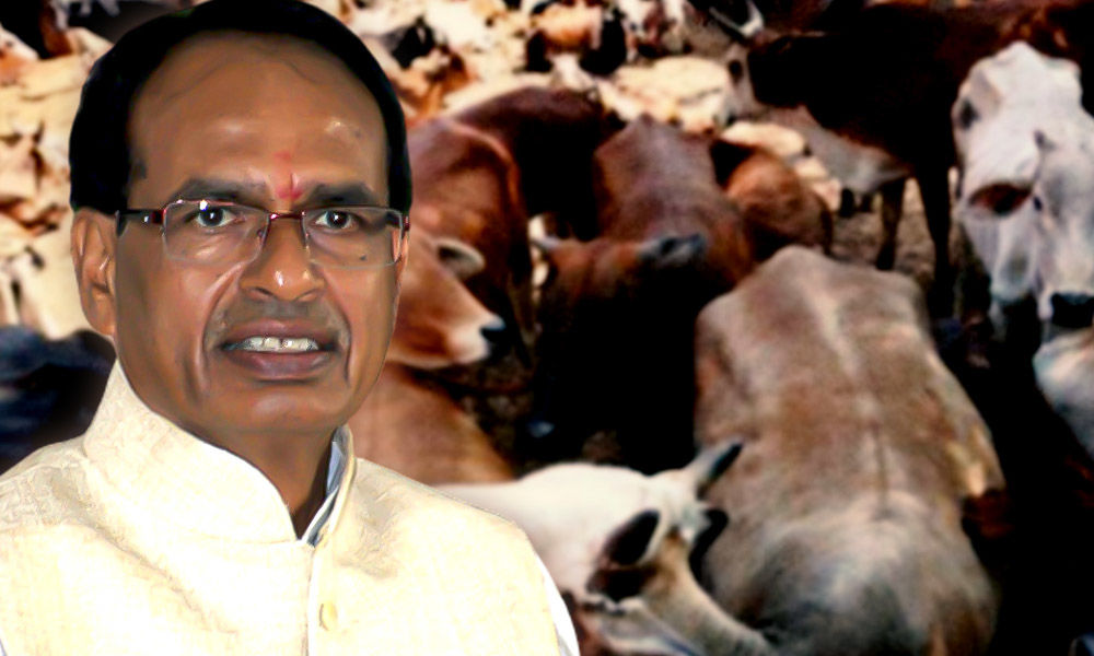 The latest cess on fuel is gaumata tax or cow cess