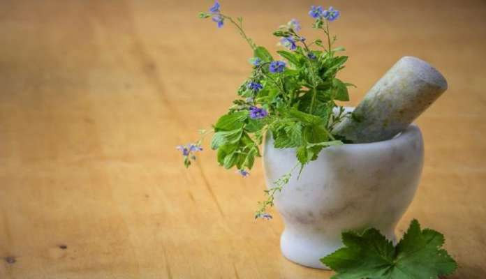 First phase of study of herbal Covid cure in Andhra completed