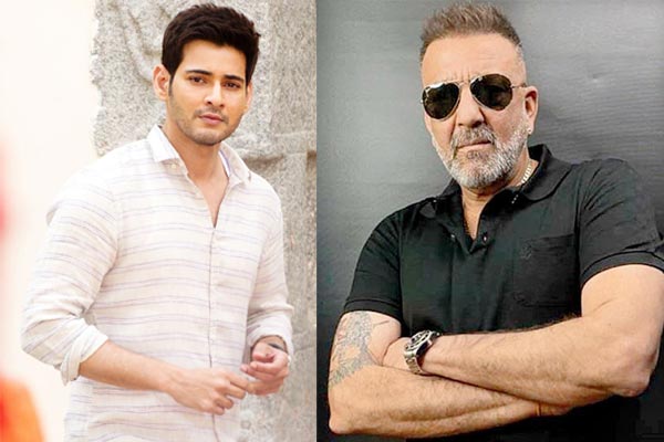 Mahesh to fight Sanjay Dutt?