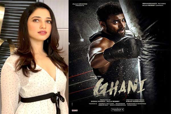 Tamannaah’s hot special in Ghani