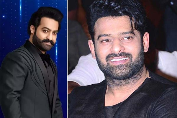 Prabhas to enter NTR’s EMK?