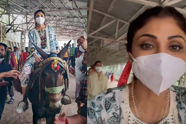 Shilpa Shetty rides a horse for Vaishno Devi temple
