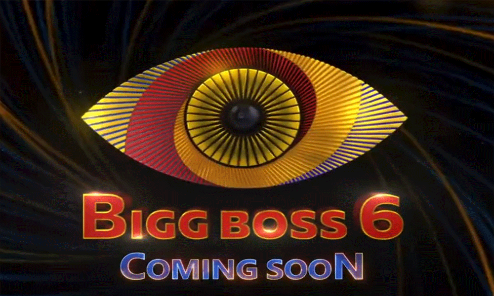 Six contestants confirmed for Telugu Bigg Boss season 6