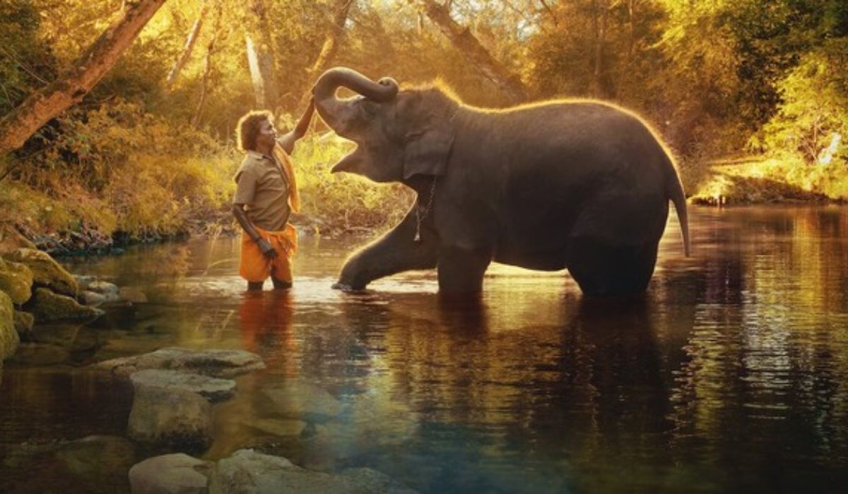 The Elephant Whisperers Wins Best Short Film