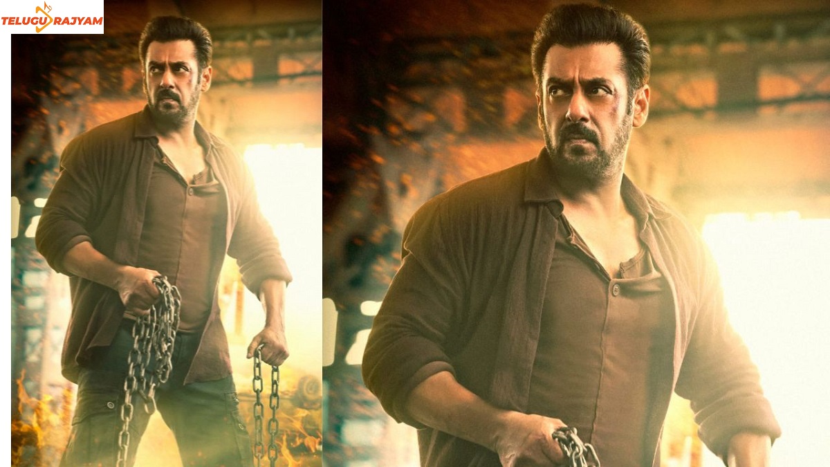 ‘Tiger Can Take On An Army Of People With His Bare Hands!’ : Salman Khan