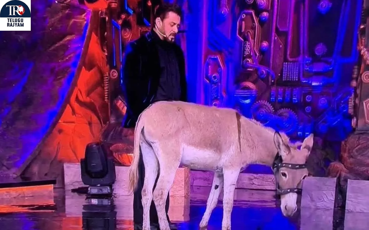 Donkey Is Also A Contestant In ‘Bigg Boss’…